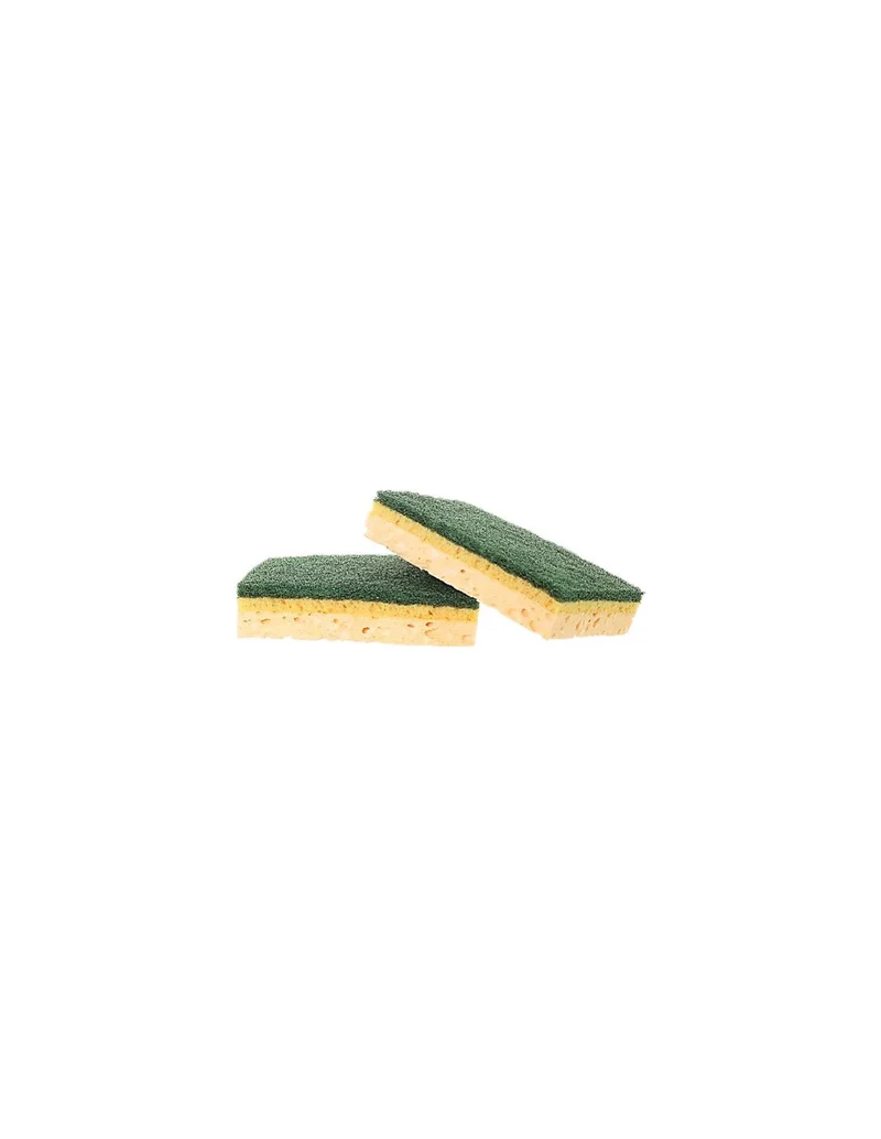 10 tampons sur éponge VERT Pro