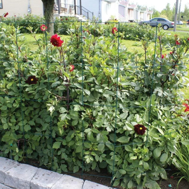 Treillis et cage pliable pour tomates et plantes – 3 panneaux