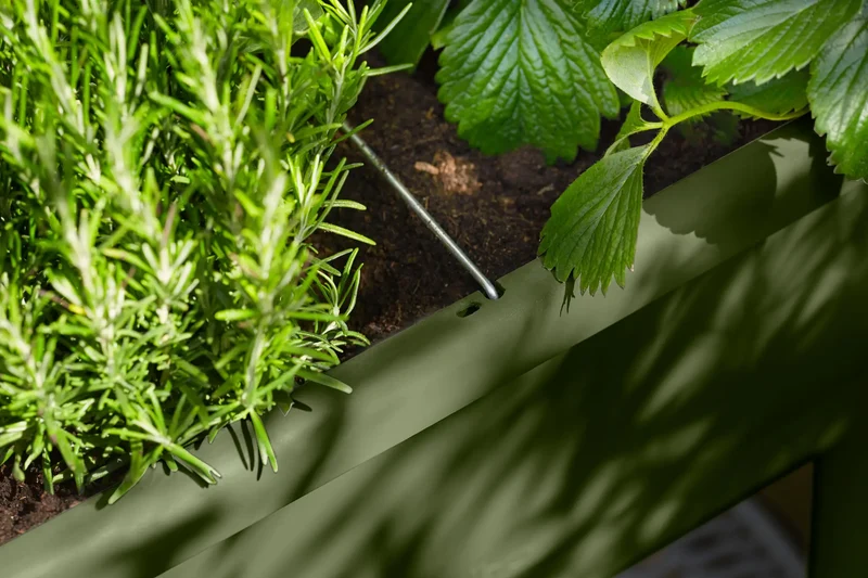 Table potagère Noa d'elho – Potager sur pieds avec réservoir et serre