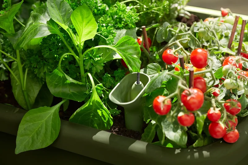Table potagère Noa d'elho – Potager sur pieds avec réservoir et serre