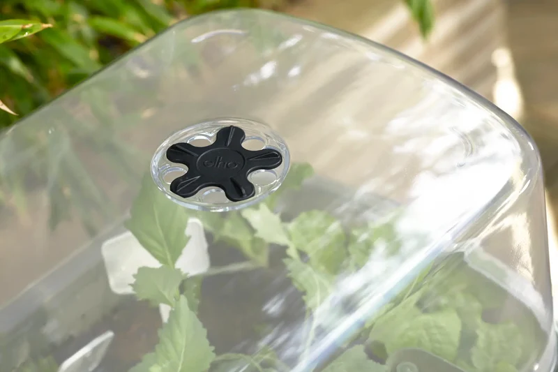Table potagère Noa d'elho – Potager sur pieds avec réservoir et serre