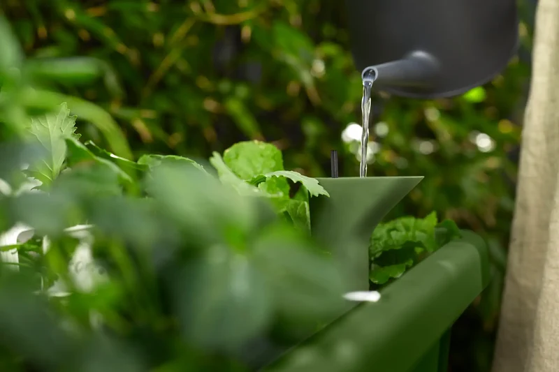Table potagère Noa d'elho – Potager sur pieds avec réservoir et serre