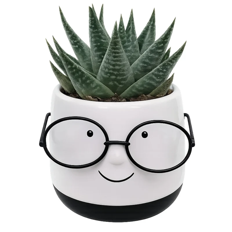Cache-pots festifs 'Carlton' & 'Newton' avec plante