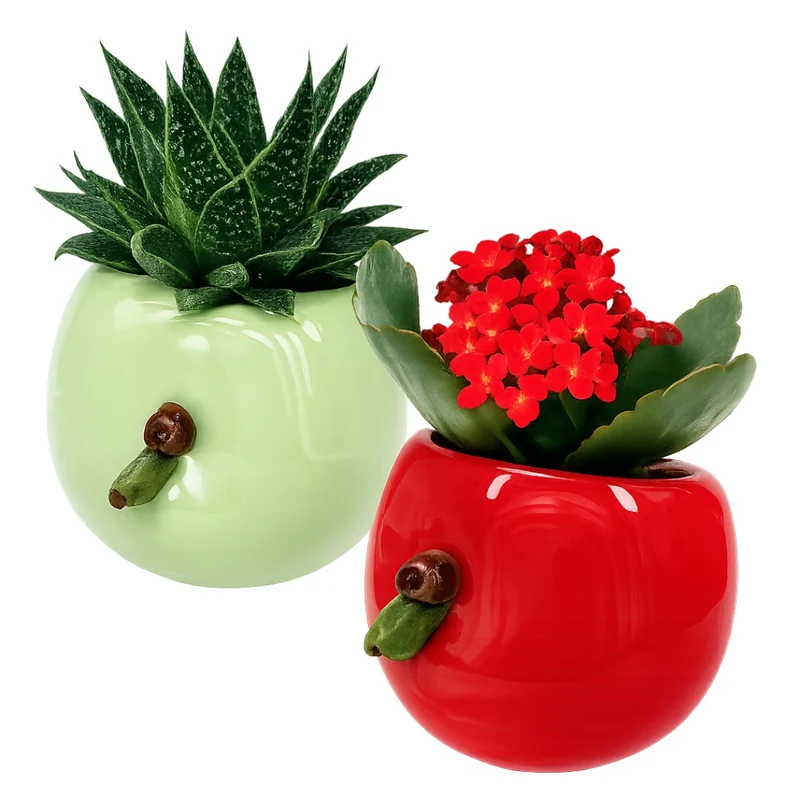 Cache-pots festifs 'Carlton' & 'Newton' avec plante