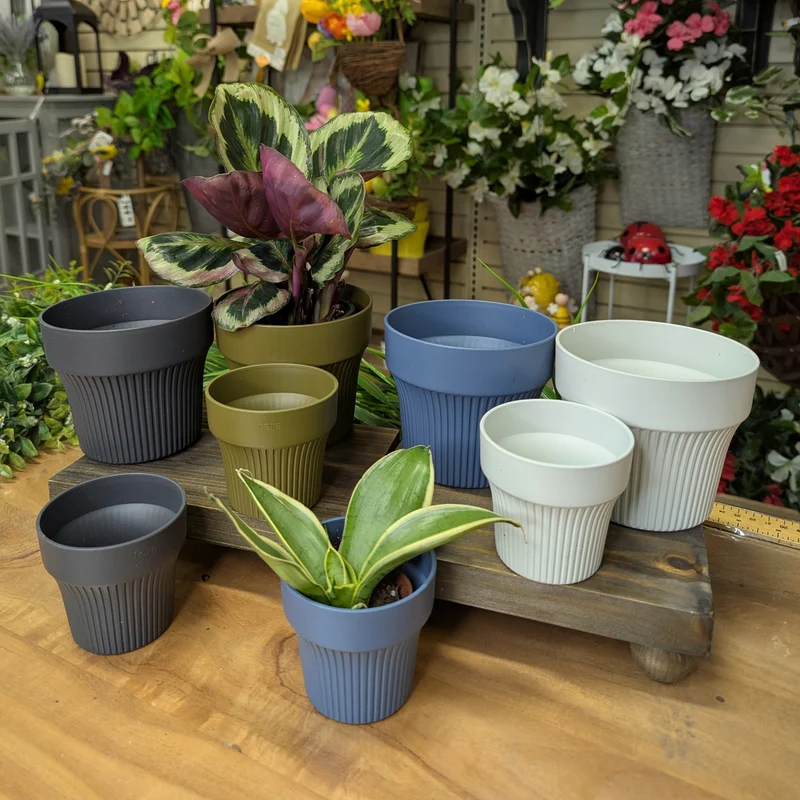 Cache-pot pour plante d'intérieur - Collection Eclipse Tiny