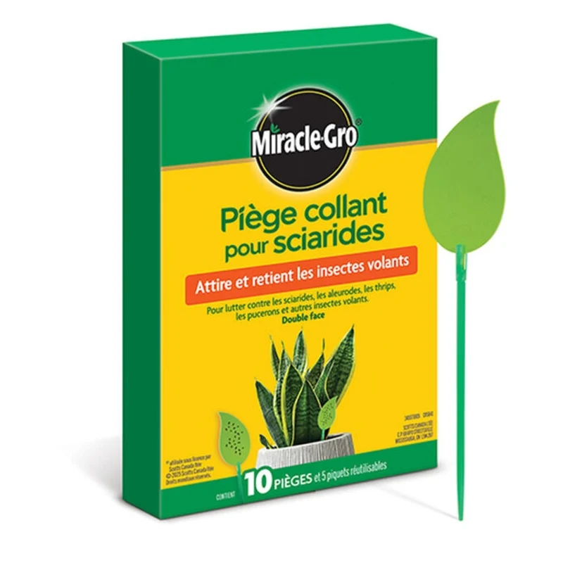 Piège collant pour sciarides (mouches du terreau)
