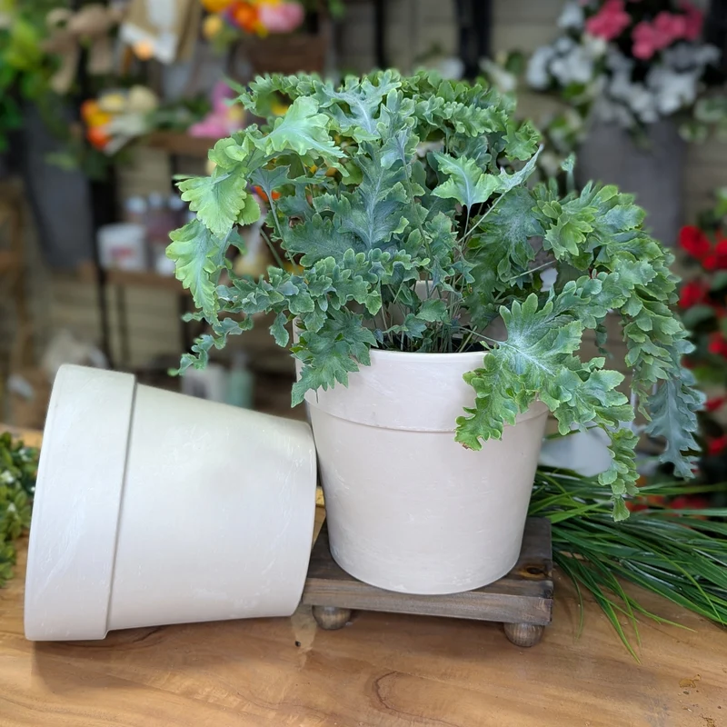 Pot terre cuite Calima Granit blanc