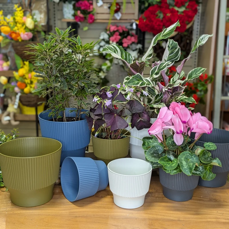 Cache-pot pour plante d'intérieur - Collection Eclipse Mini