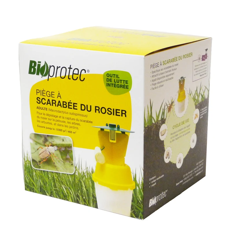 Piège scarabée du rosier - BioProtec