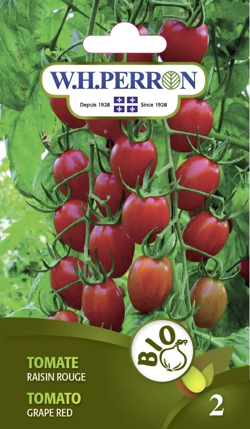 Tomate 'Raisin Rouge' - Semences