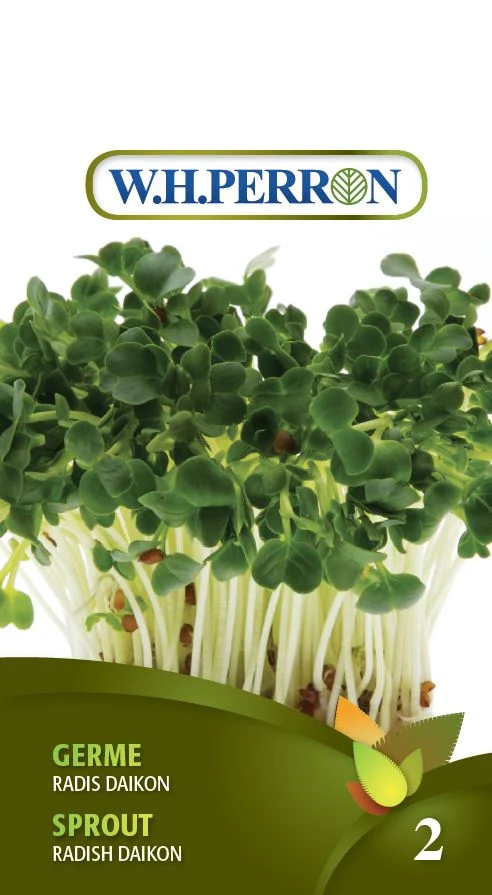 Germes et micropousses 'Radis Daikon' - Semences
