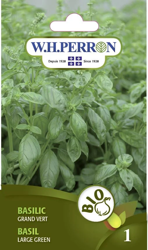 Basilic 'Grand Vert' - Semences