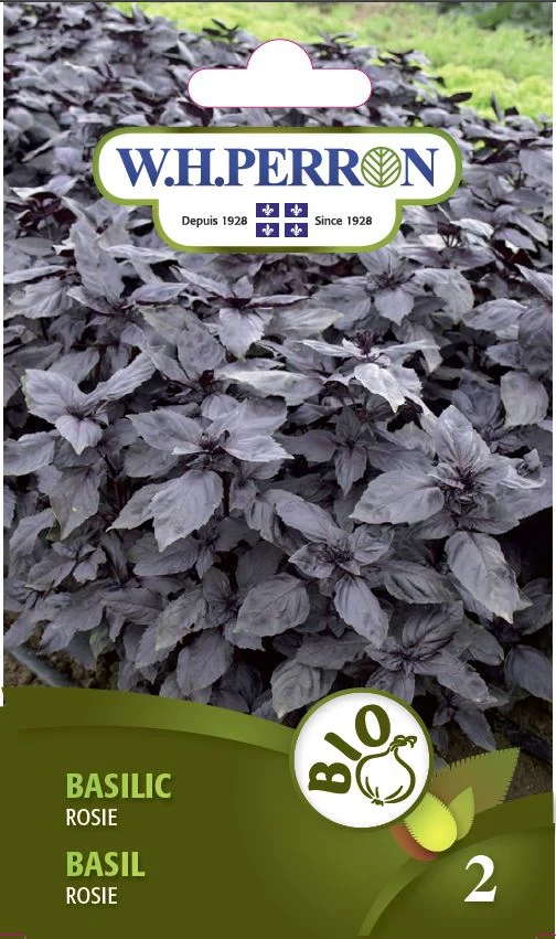 Basilic 'Rosie' - Semences