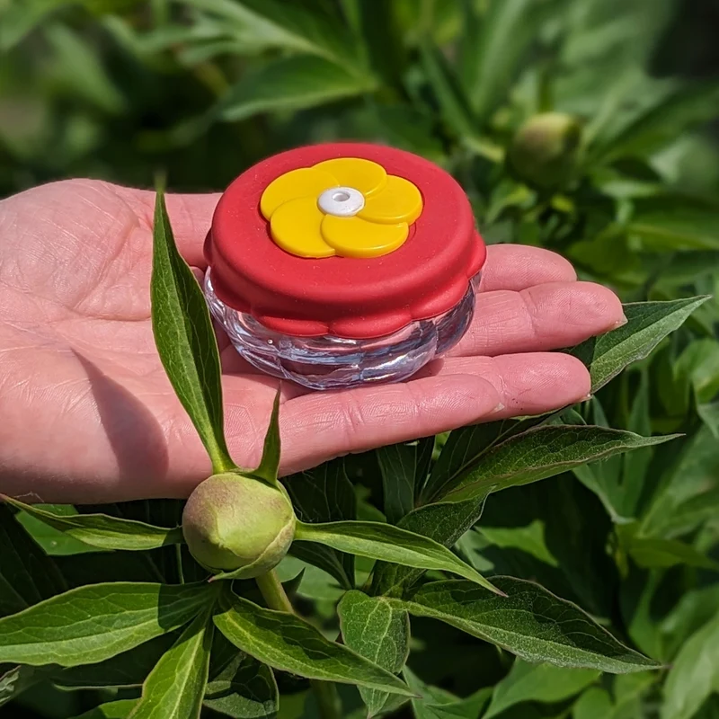Mini abreuvoir à main pour colibris