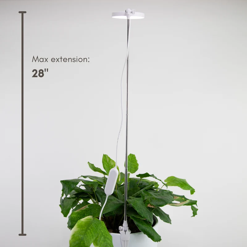 Lampe de croissance DEL ajustable pour plantes d'intérieur