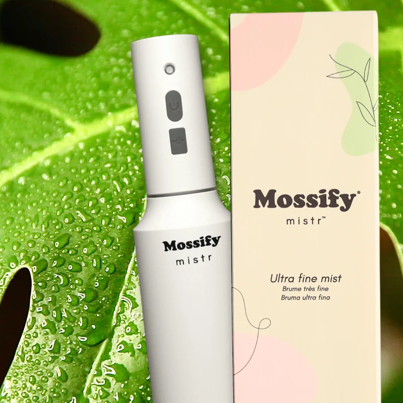 Brumisateur rechargeable pour plantes