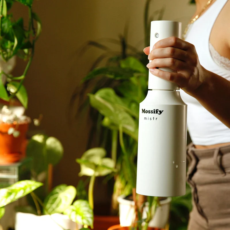 Brumisateur rechargeable pour plantes