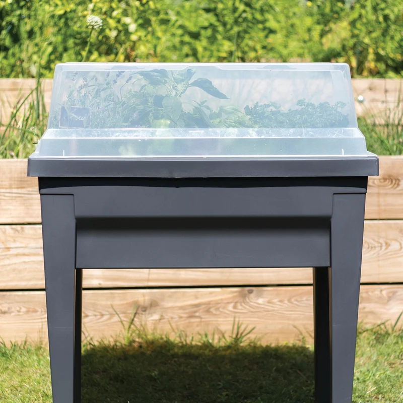 Couvert transparent pour table potagère City
