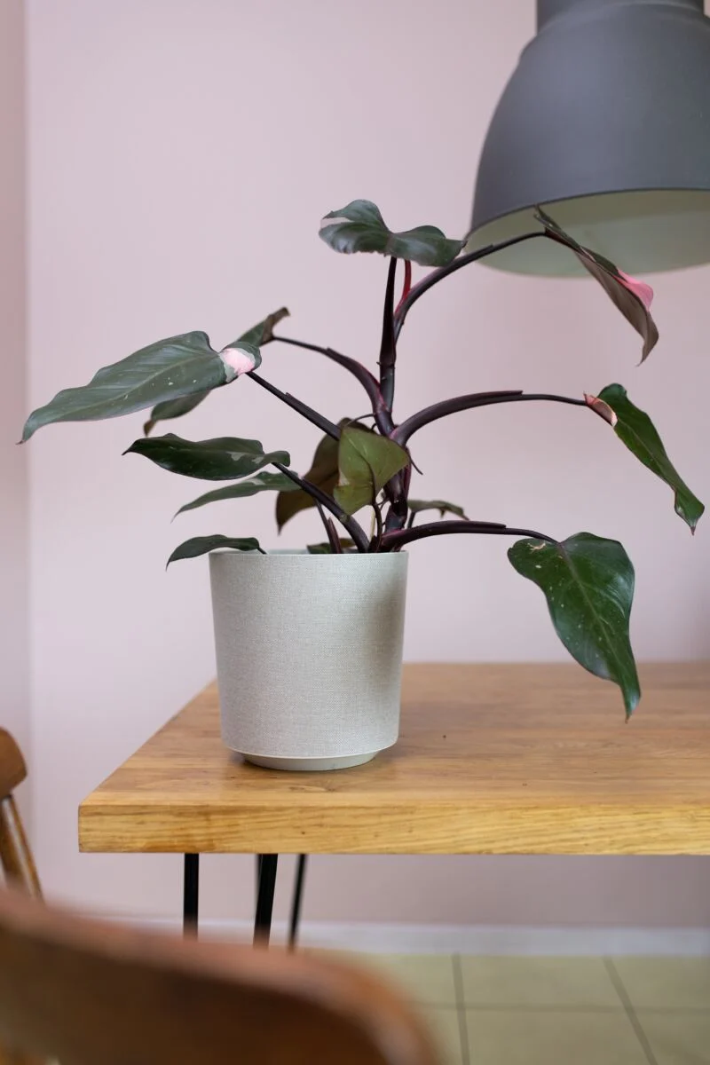 Cache-pot pour plante d'intérieur - Collection Textil Gama