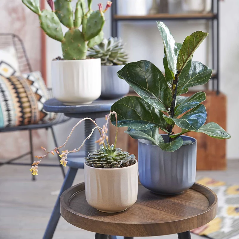 Cache-pot pour plante d'intérieur - Collection Baga