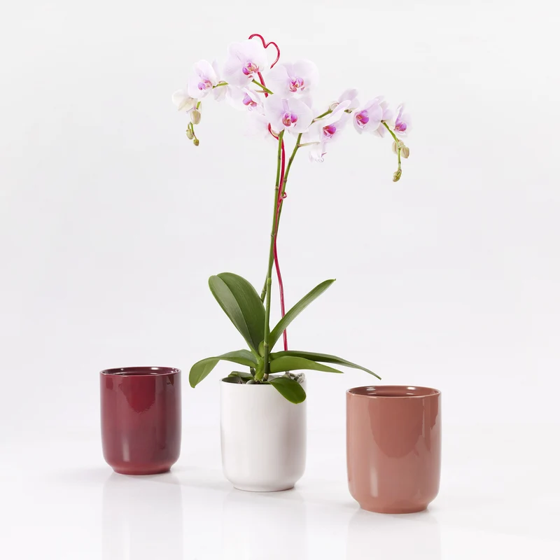 Cache-pot pour orchidée - Collection Bari Summer