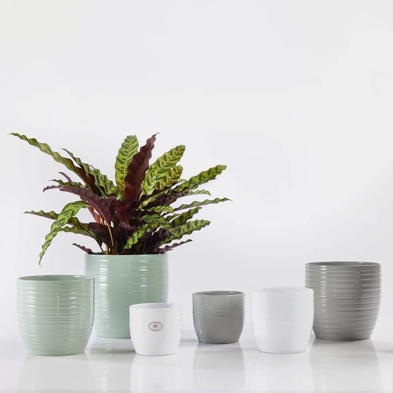 Cache-pot pour plante d'intérieur - Collection Bergamo Pure