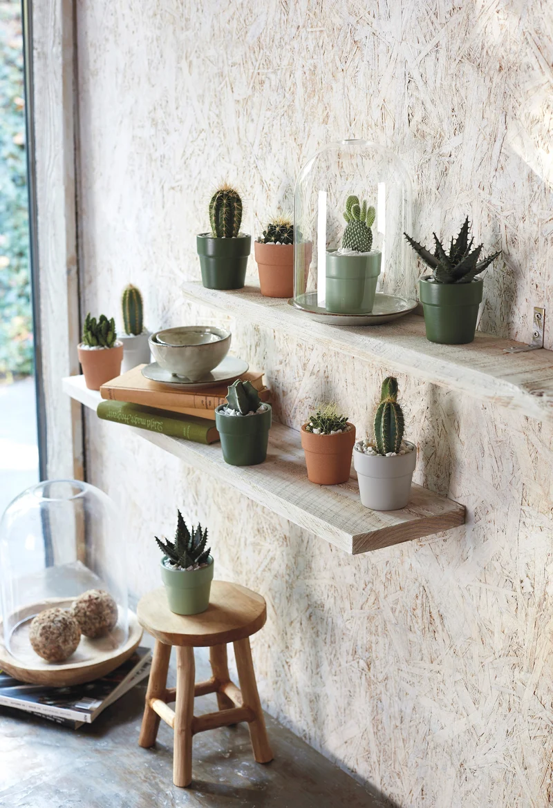 Mini cache-pot pour plante d'intérieur - Collection Lima