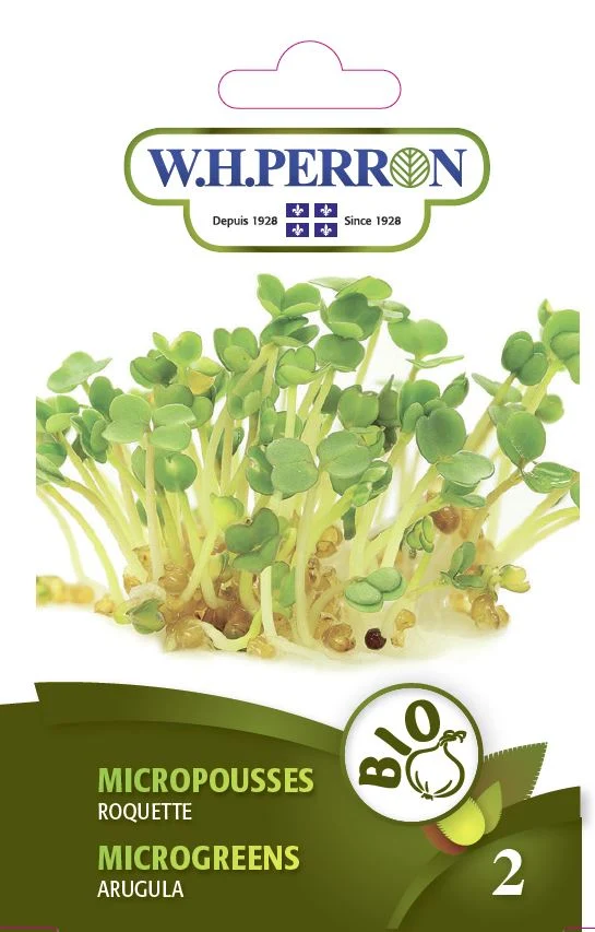 Micropousses 'Roquette' - Semences