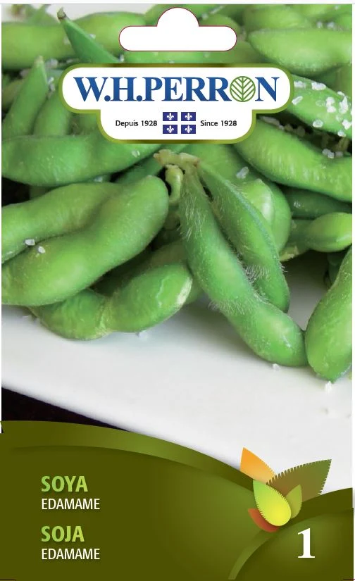 Soya 'Edamame' - Semences