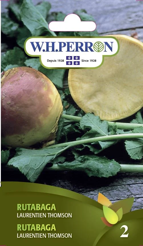 Rutabaga 'Laurentien Thomson' - Semences