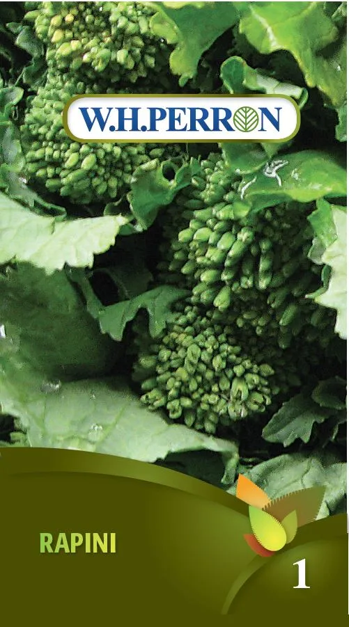 Rapini Brocoli-Rave - Semences
