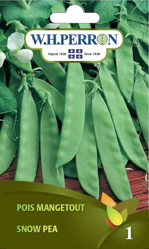 Pois Mangetout - Semences