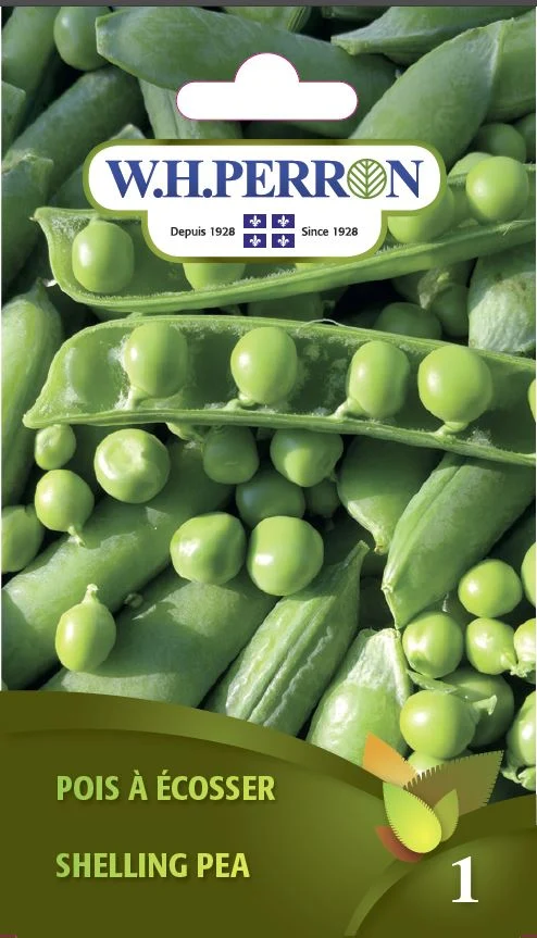 Pois à écosser - Semences