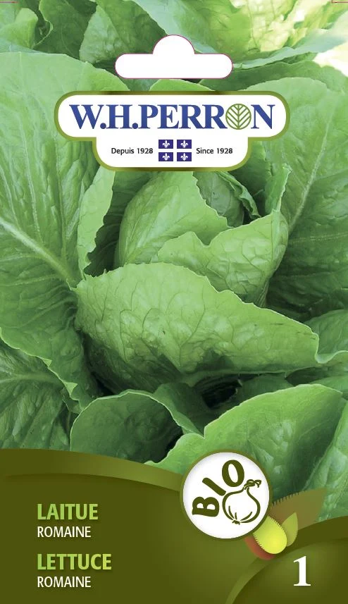 Laitue 'Romaine' - Semences