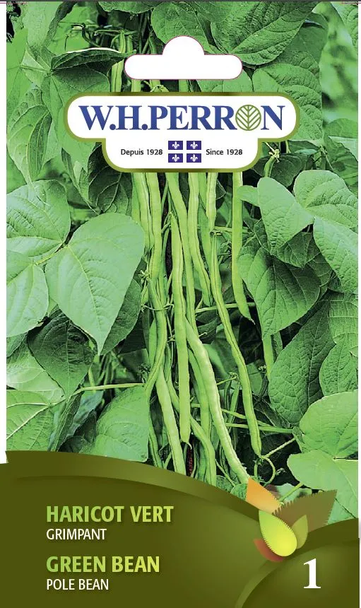 Haricot vert 'Grimpant' - Semences