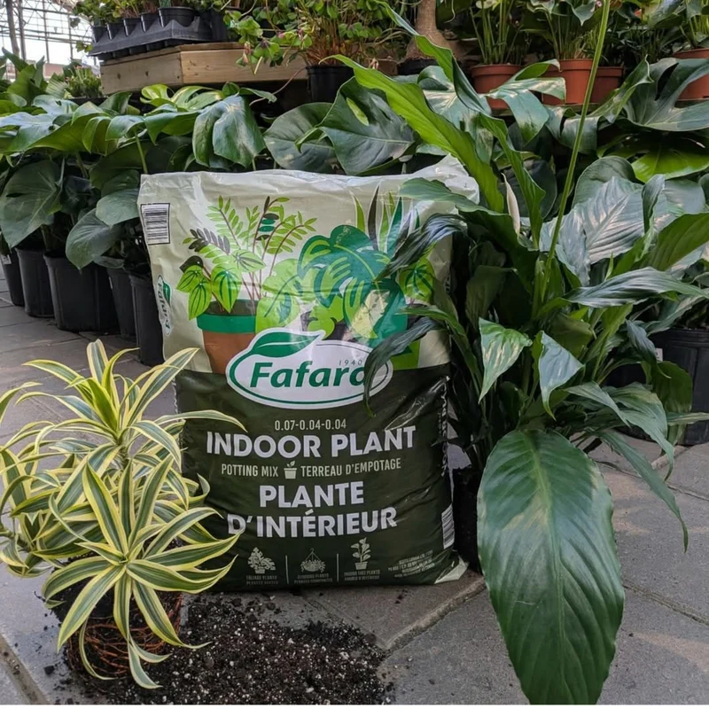 Terreau d'empotage pour plantes d'intérieur et tropicales