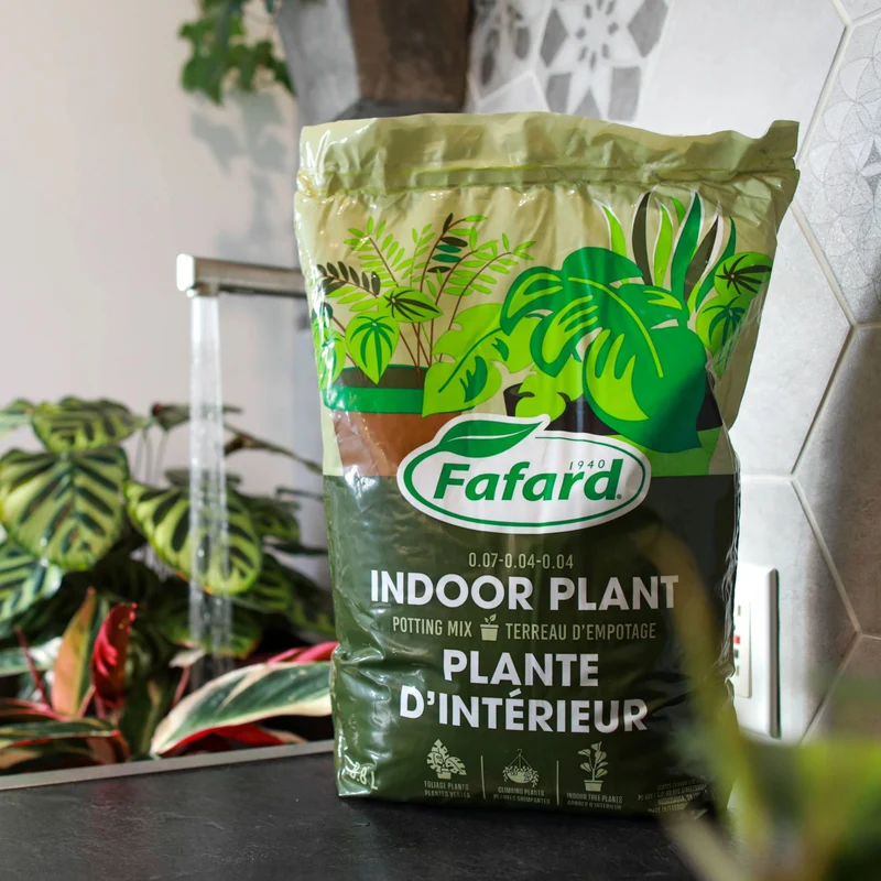 Terreau d'empotage pour plantes d'intérieur et tropicales