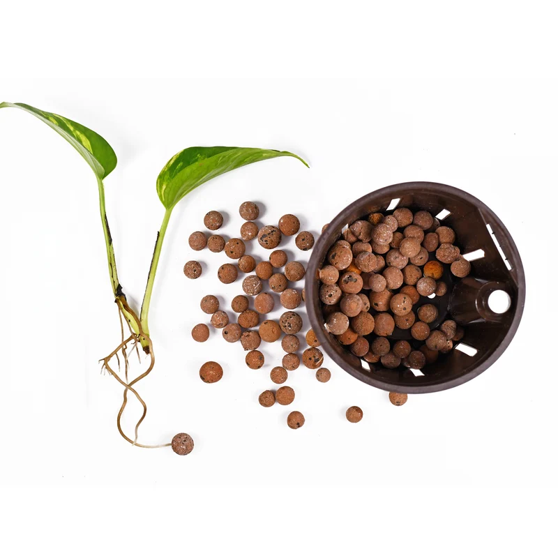 Billes d'argile brune pour plantes
