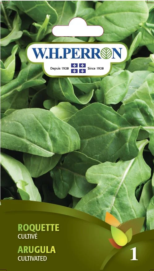 Roquette 'Cultivé' - Semences