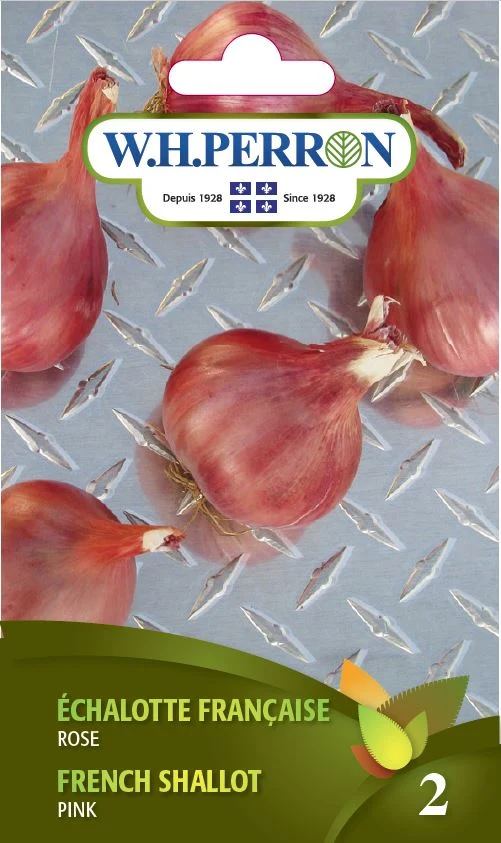 Échalote française 'Rose' - Semences
