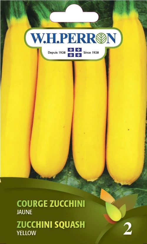 Courge zucchini 'Jaune' - Semences