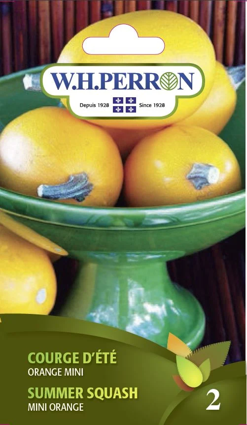 Courge d’été Spaghetti 'Orange Mini' - Semences