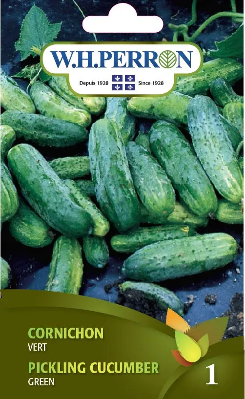 Cornichon 'Vert' - Semences