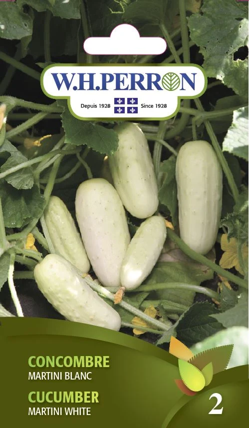 Concombre 'Martini Blanc' - Semences