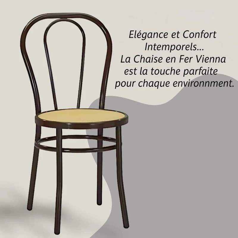 Tomaino - Chaise de cuisine en fer avec assise en paille - Ensemble de chaises de salle à manger Vienne (4, noir)