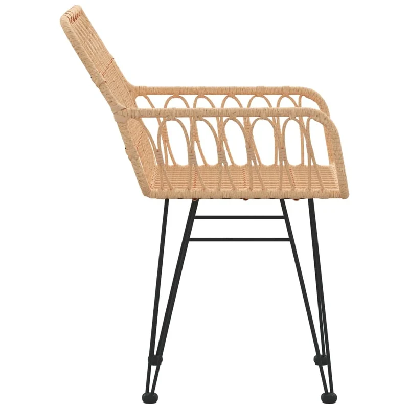 vidaXL Chaises de Jardin 2 pcs et accoudoir 56x64x80 cm Résine tressée, Chaise à dîner, siège de Salle à Manger, Chaise de Patio