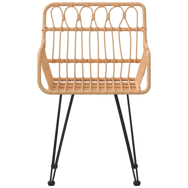 vidaXL Chaises de Jardin 2 pcs et accoudoir 56x64x80 cm Résine tressée, Chaise à dîner, siège de Salle à Manger, Chaise de Patio