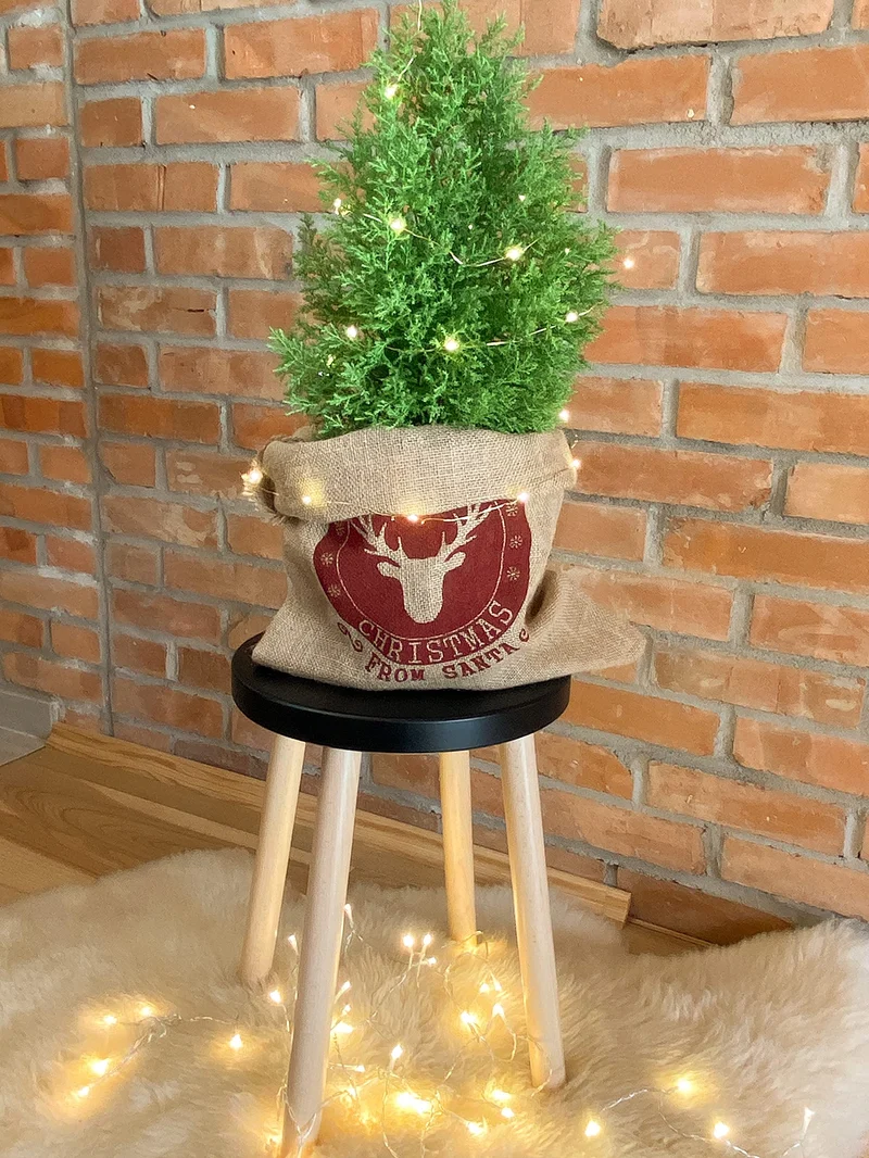 Spec-Wood Tabouret de bar - Tabouret de cuisine - Support de fleurs en bois - Petite table basse - Support pour plantes - Tabouret rond - Noir/hêtre naturel