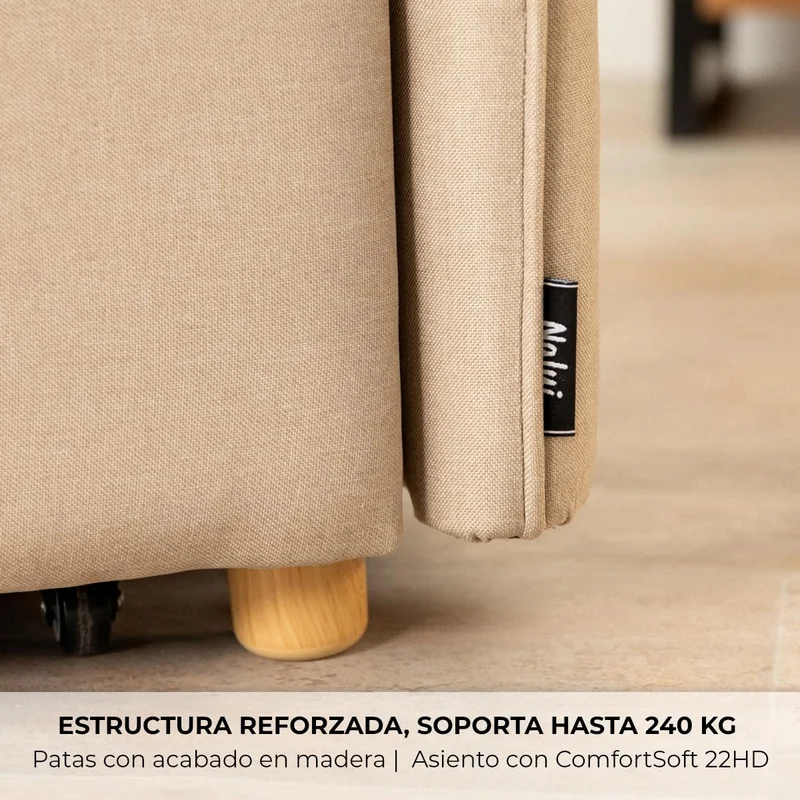 Nalui Nest 2 canapés lit 2 Places 3 en 1 avec Dossier réglable et 2 oreillers, supporte jusqu'à 240 kg, canapé 2 Places Convertible en lit de 120 x 190 cm, Beige