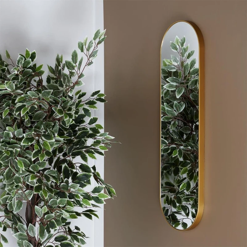 AltoBuy Miroir Doré Ovale 30x100 cm